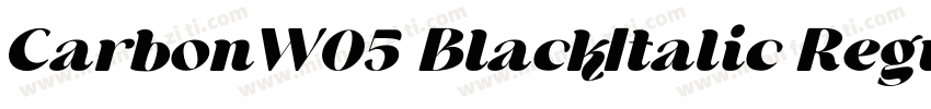 CarbonW05 BlackItalic Regular字体转换